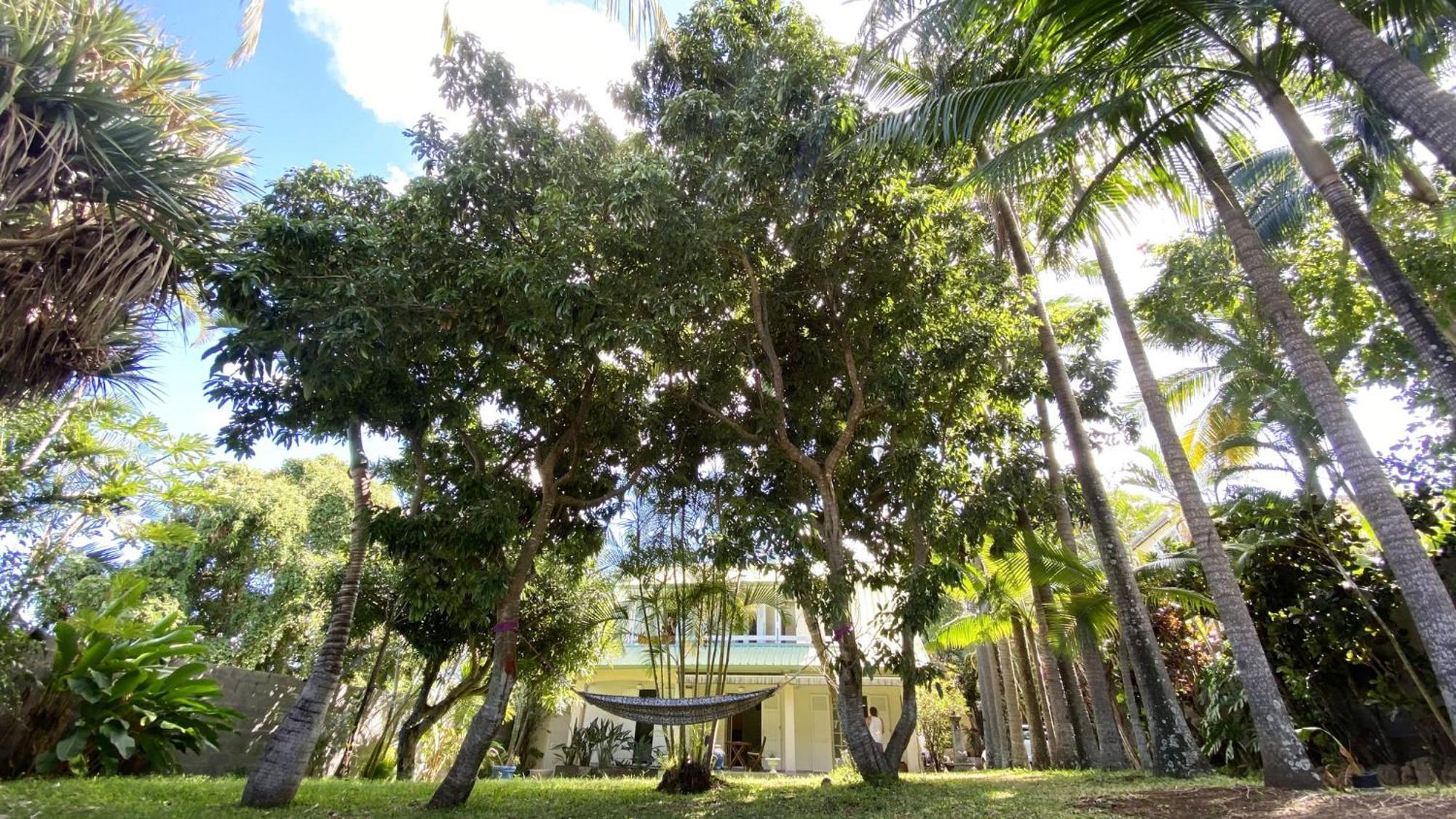 Coliver - Coliving A La Reunion 圣皮埃尔 外观 照片