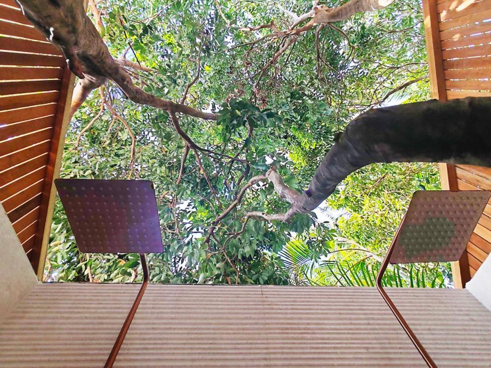 Coliver - Coliving A La Reunion 圣皮埃尔 外观 照片