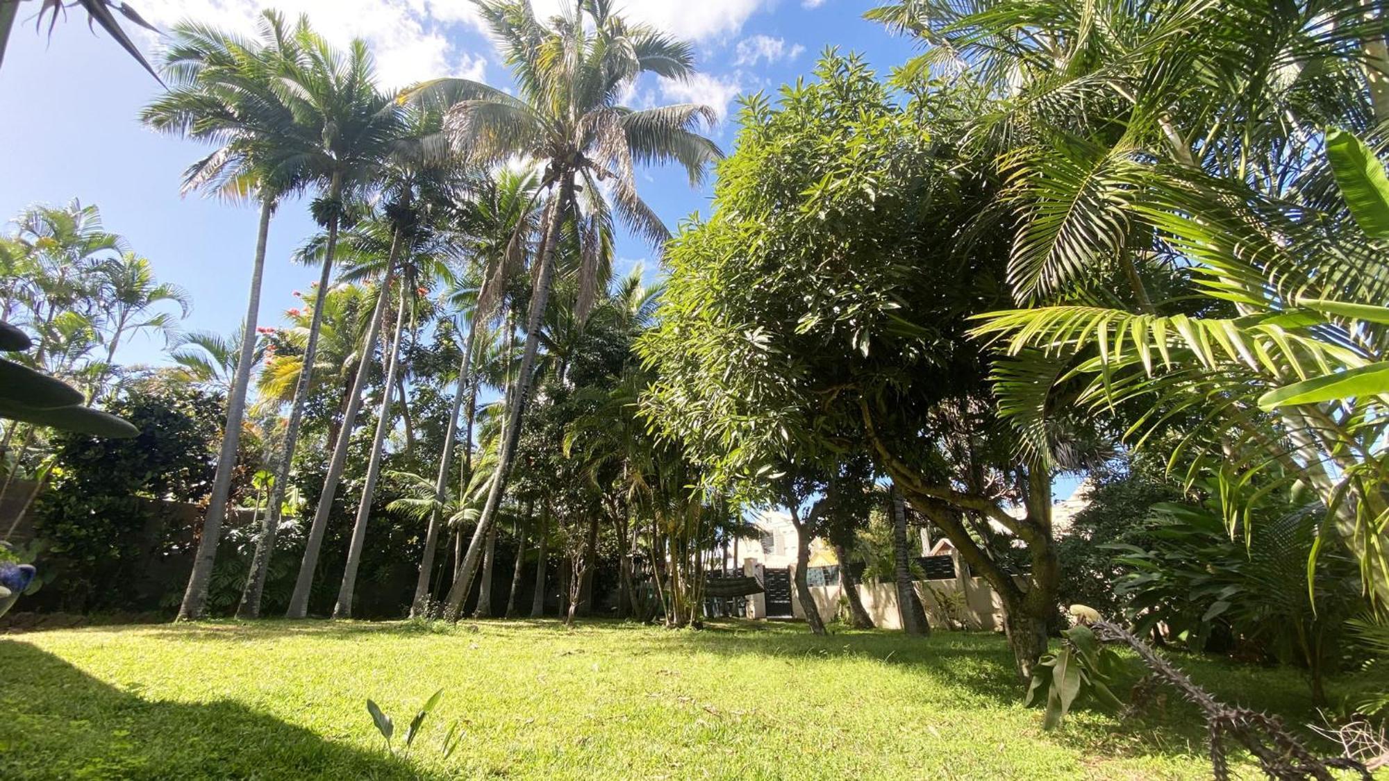 Coliver - Coliving A La Reunion 圣皮埃尔 外观 照片
