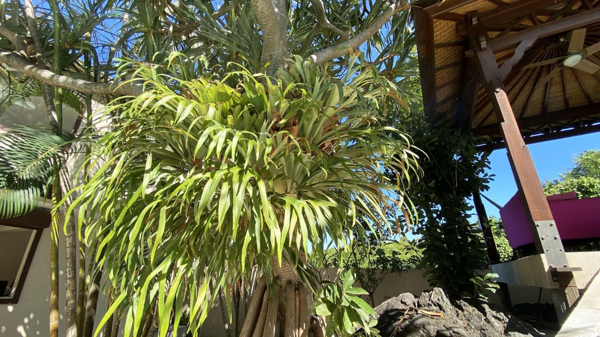 Coliver - Coliving A La Reunion 圣皮埃尔 外观 照片