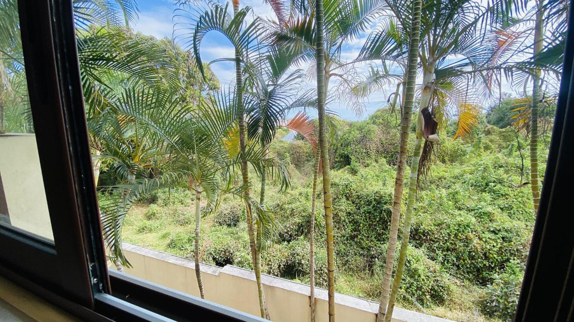 Coliver - Coliving A La Reunion 圣皮埃尔 外观 照片